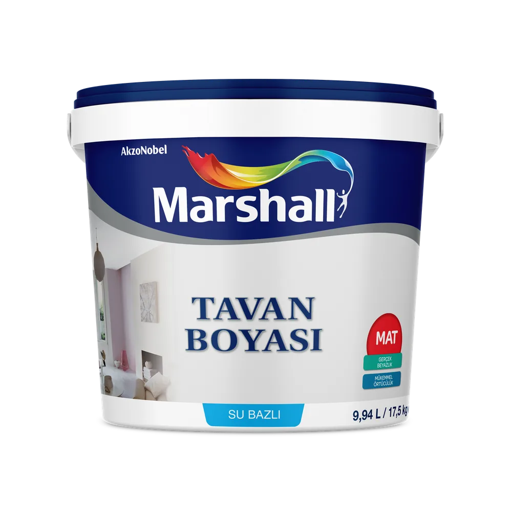 Tavan Boýasy